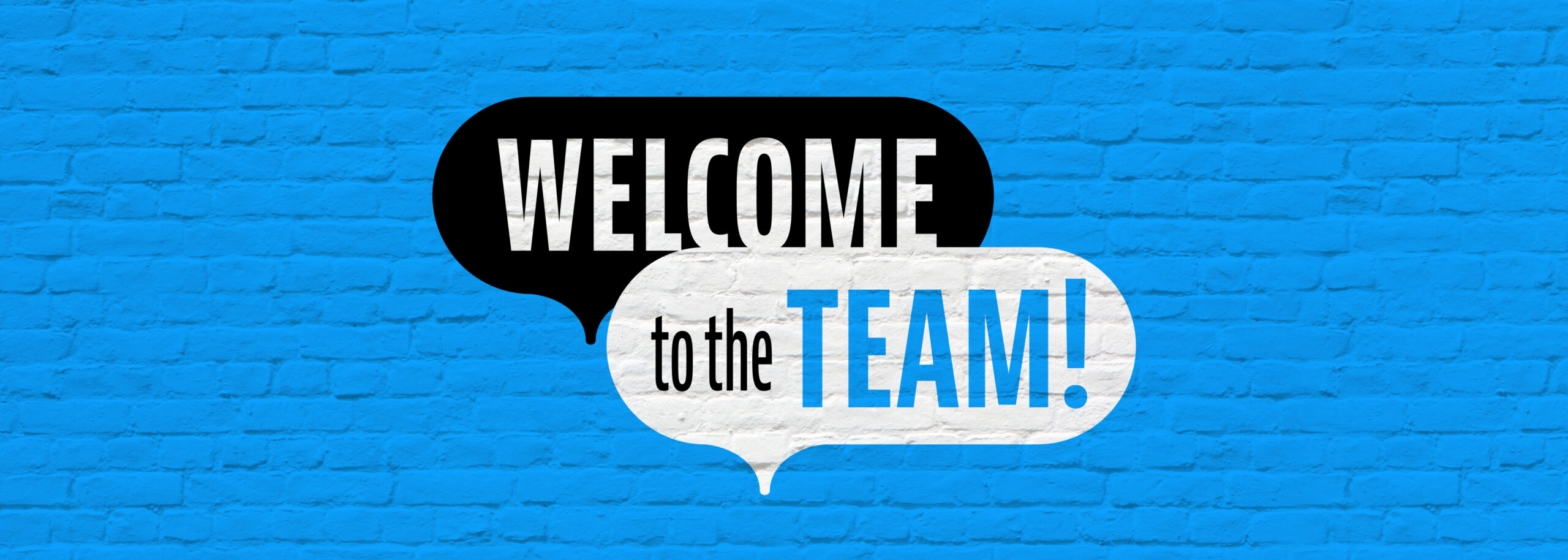 Welcome to the Euro-Locks team!